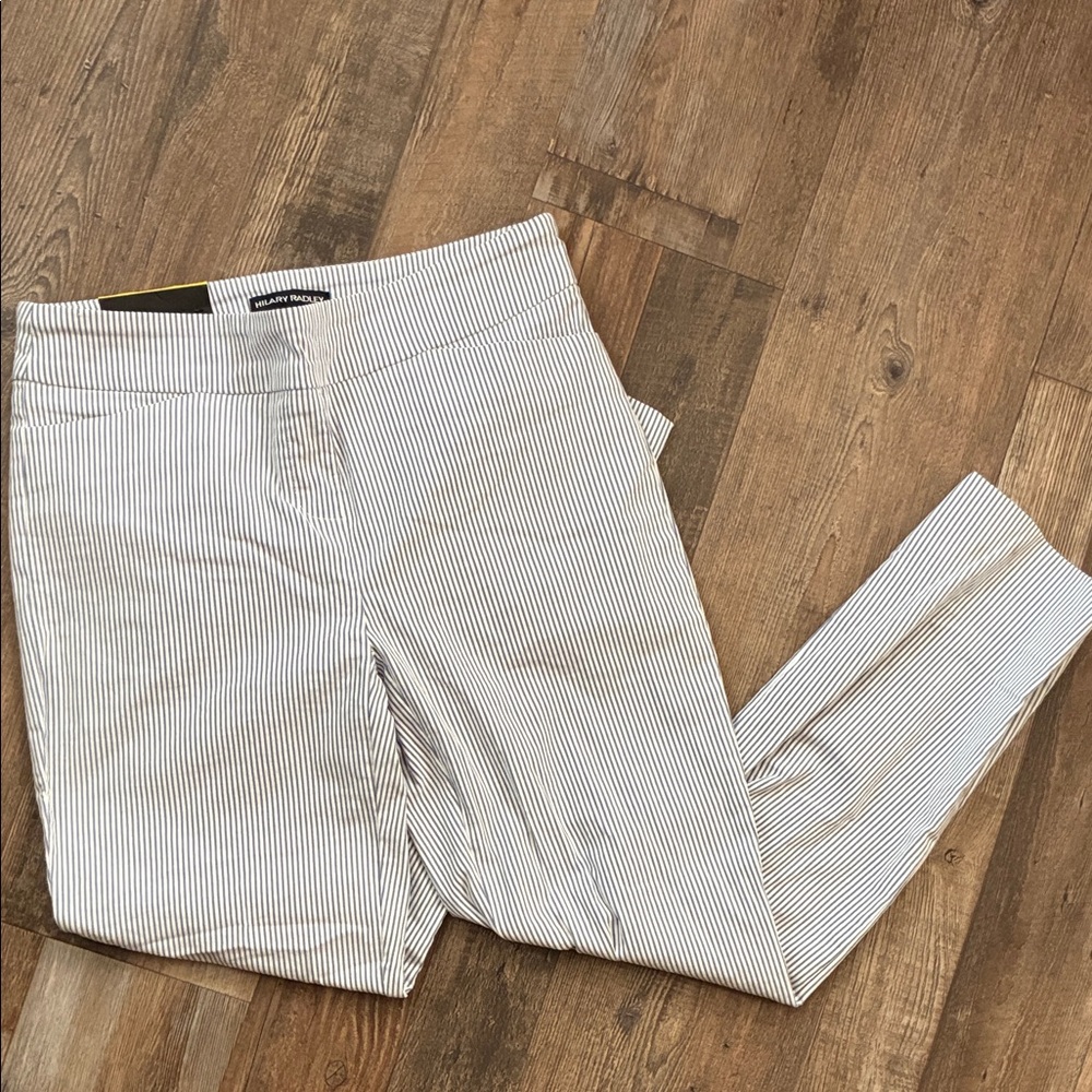 Hilary Radley Blue and White Striped Pants